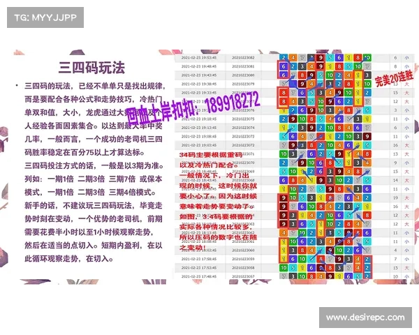 加拿大28预测技巧与策略分析，助你精准掌握游戏走势与规律